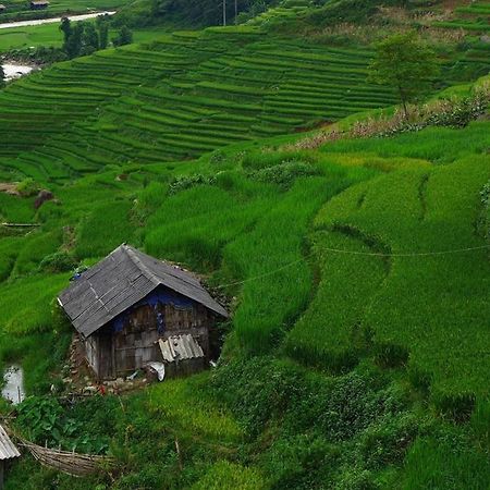 Freedom Homestay & Trekking Sapa Exteriör bild