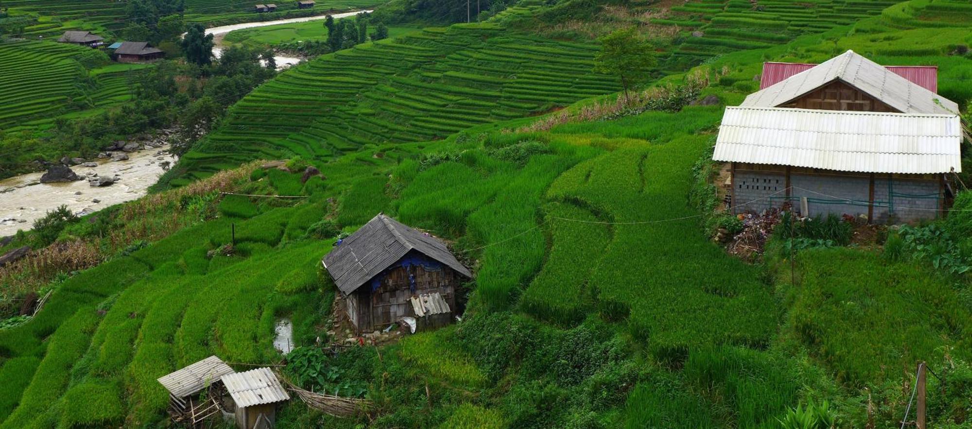 Freedom Homestay & Trekking Sapa Exteriör bild