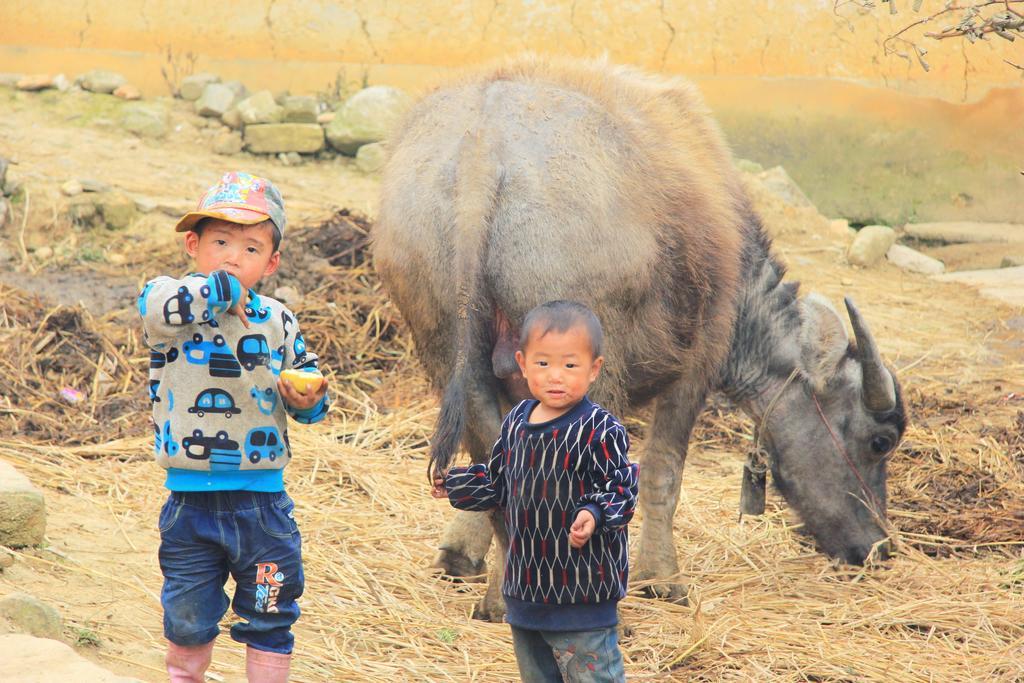 Freedom Homestay & Trekking Sapa Exteriör bild