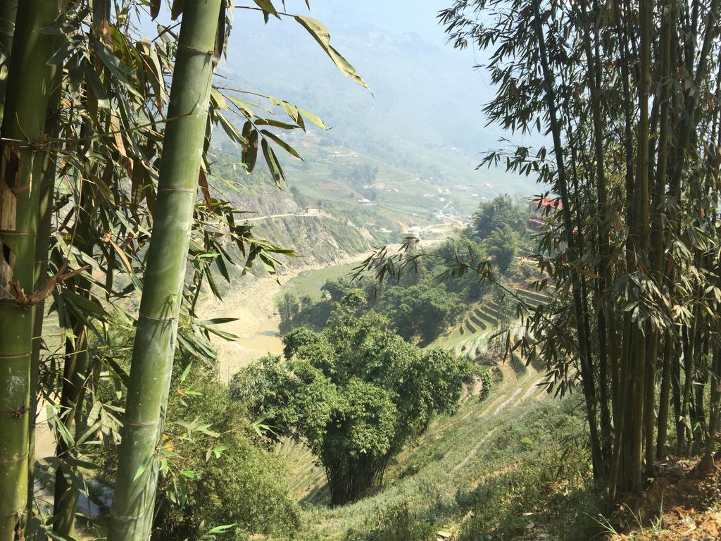 Freedom Homestay & Trekking Sapa Exteriör bild