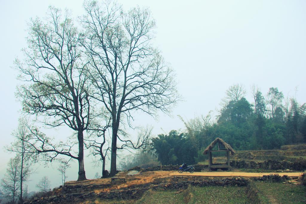 Freedom Homestay & Trekking Sapa Exteriör bild