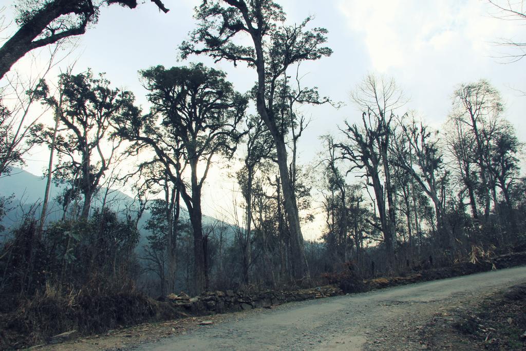Freedom Homestay & Trekking Sapa Exteriör bild