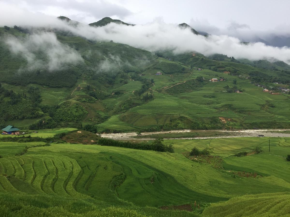 Freedom Homestay & Trekking Sapa Exteriör bild