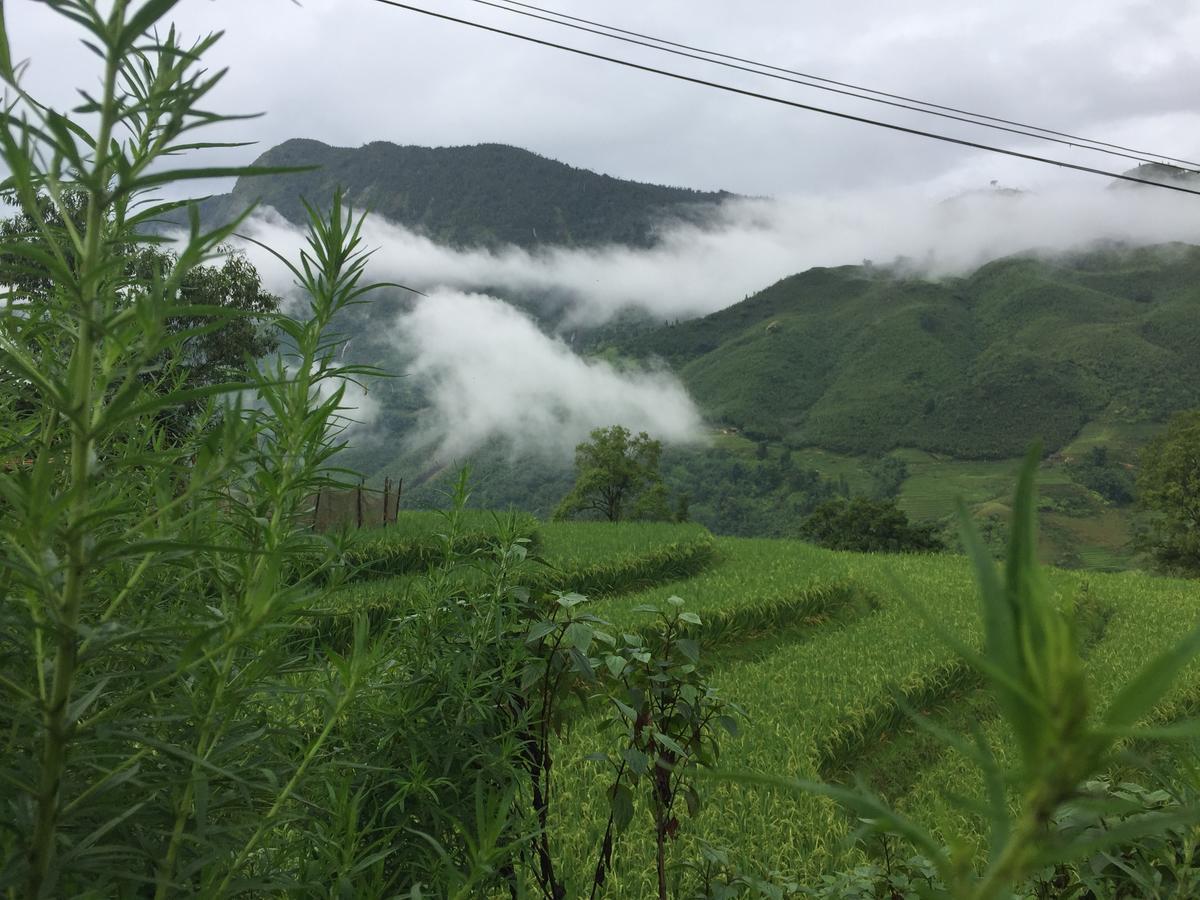 Freedom Homestay & Trekking Sapa Exteriör bild