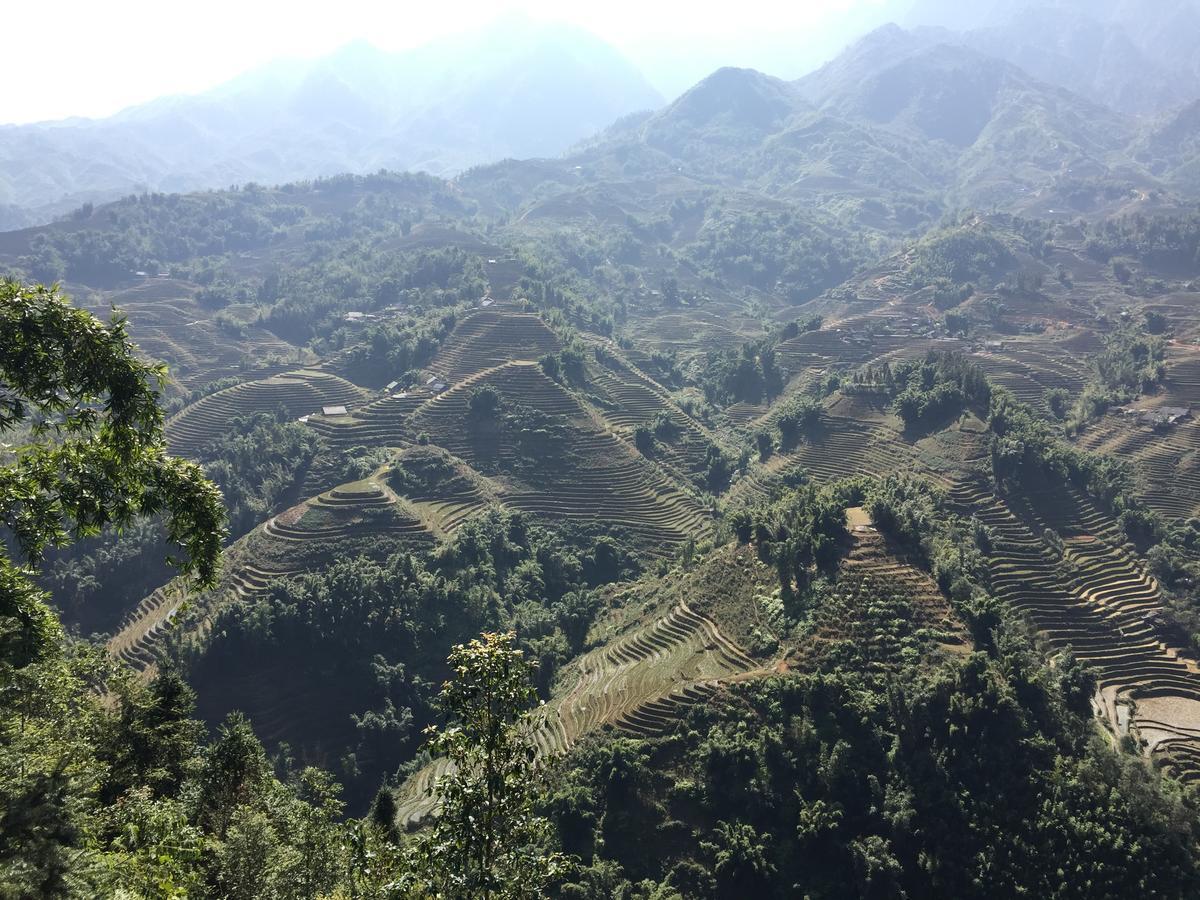 Freedom Homestay & Trekking Sapa Exteriör bild